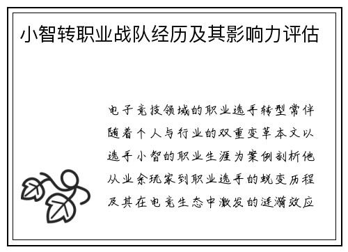 小智转职业战队经历及其影响力评估
